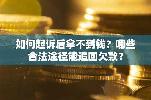 武汉如何起诉后拿不到钱？哪些合法途径能追回欠款？