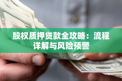 武汉股权质押贷款全攻略：流程详解与风险预警