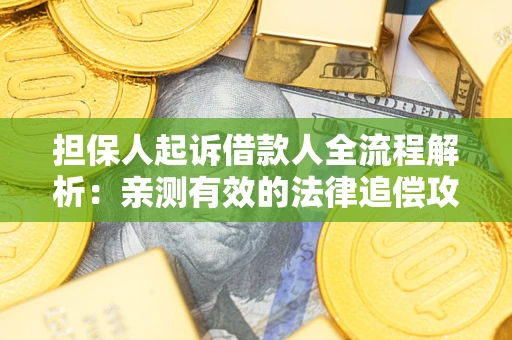 武汉担保人起诉借款人全流程解析：亲测有效的法律追偿攻略