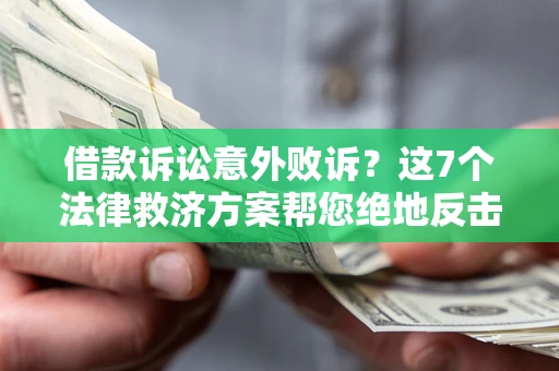 武汉借款诉讼意外败诉？这7个法律救济方案帮您绝地反击！