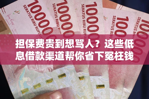 武汉担保费贵到想骂人？这些低息借款渠道帮你省下冤枉钱