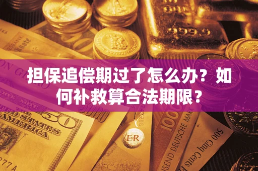 武汉担保追偿期过了怎么办？如何补救算合法期限？