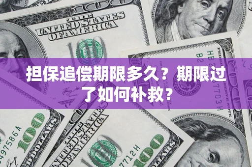 武汉担保追偿期限多久？期限过了如何补救？