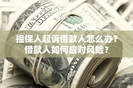 武汉担保人起诉借款人怎么办？借款人如何应对风险？