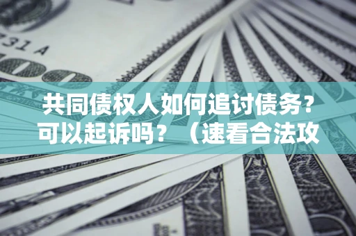 武汉共同债权人如何追讨债务？可以起诉吗？（速看合法攻略）