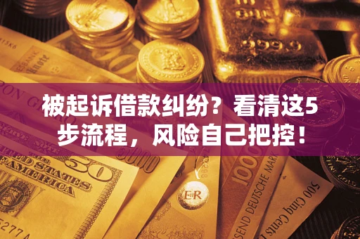 武汉被起诉借款纠纷？看清这5步流程，风险自己把控！