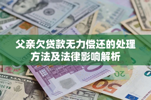 武汉父亲欠贷款无力偿还的处理方法及法律影响解析