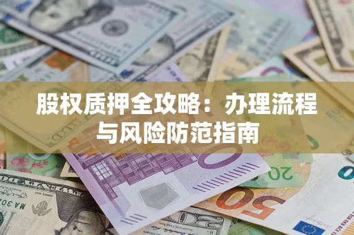 武汉股权质押全攻略：办理流程与风险防范指南