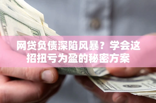 武汉网贷负债深陷风暴？学会这招扭亏为盈的秘密方案